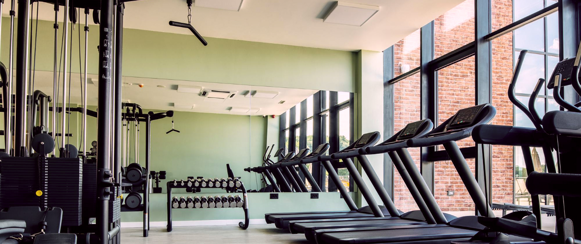 На фото изображен зал в зеленных тонах, с современным оборудованием для занятий различными видами спорта